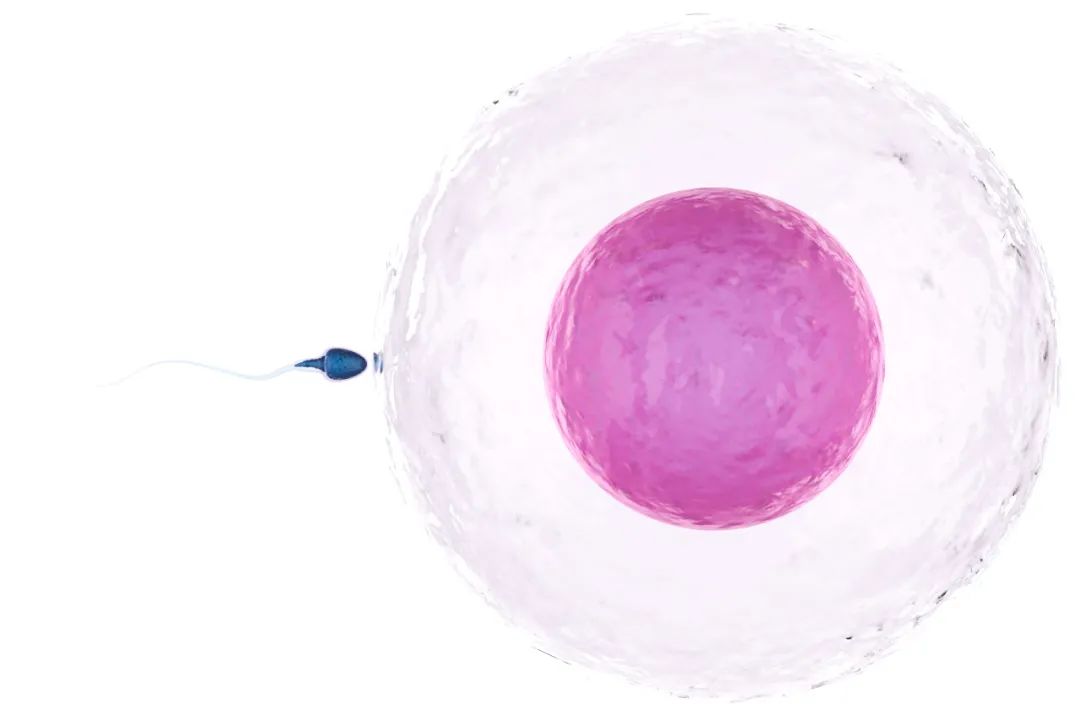 想怀孕的子宫内膜异位症患者，该怎么办？(图2)